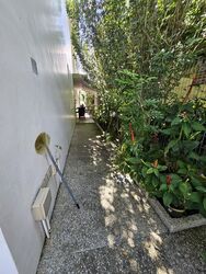 Frankel Estate (D15), Semi-Detached #495572141